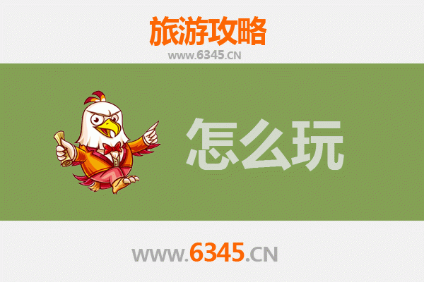 节假日玩转白山江源：冰雪奇缘与生态探秘全攻略